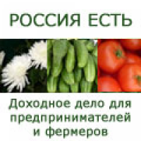 ООО "Промышленные и бытовые гидропонные системы"